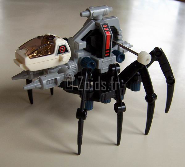 SpiderJapNew_06_900.JPG